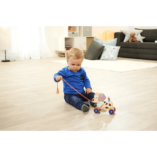 Eichhorn Trekhond - Afbeelding 2