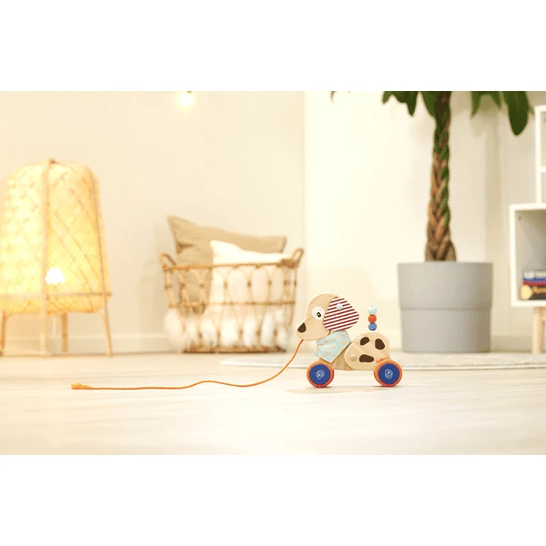 Eichhorn Trekhond - Afbeelding 5