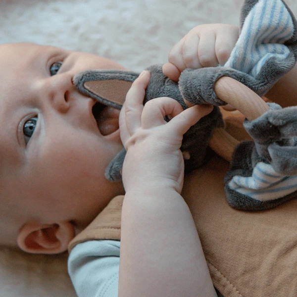 Tryco Pluche Speen Met Rammelaar - Bruce Vleermuis - Afbeelding 2